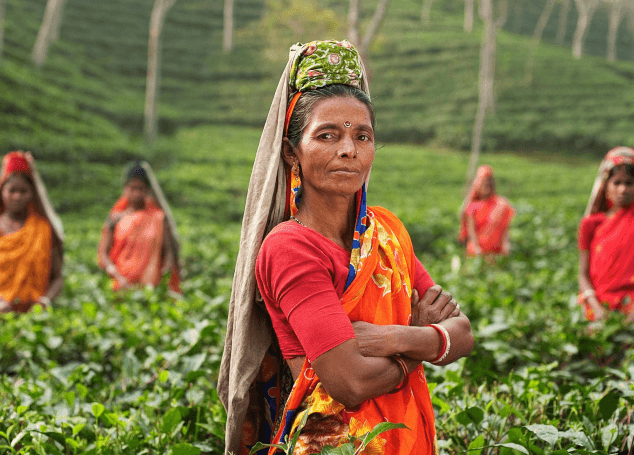 How to Include Organic Vegetables in Your Diet